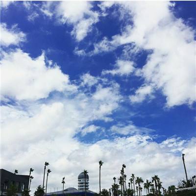 麻将胡了模拟器下载